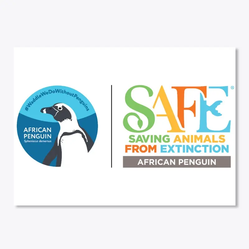 African Penguin Safe