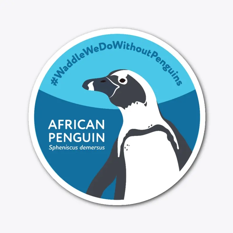 African Penguin SAFE