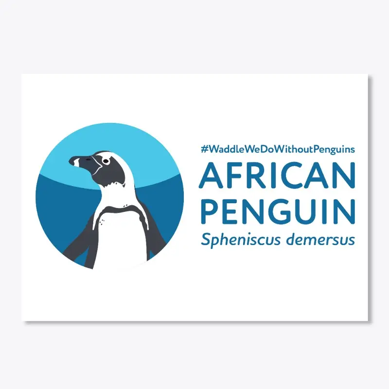 African Penguin SAFE